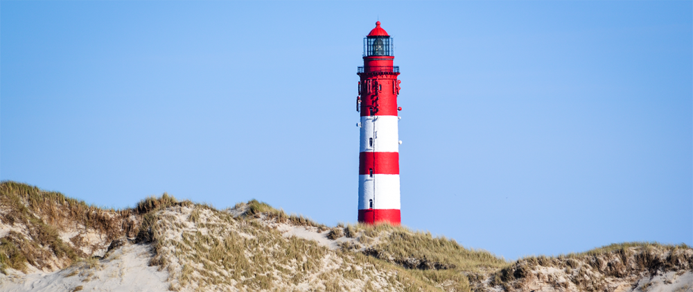 Möwe Jonathan Ihr Ferienhaus auf Amrum